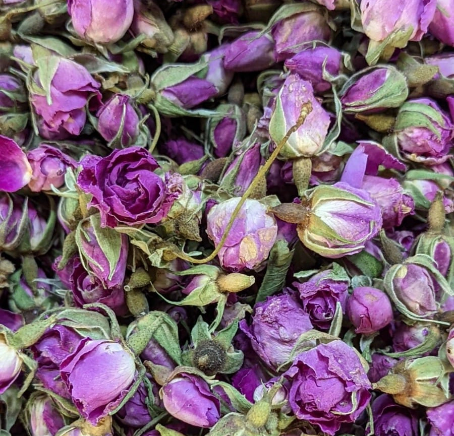 fleurs violettes
